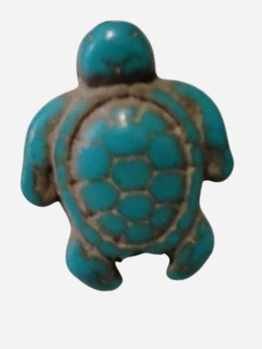 Turquoise Turtle Stud Earrings